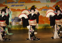 L’année au rythme des hanamachis de Kyoto