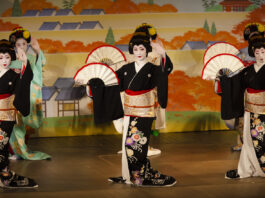 L’année au rythme des hanamachis de Kyoto