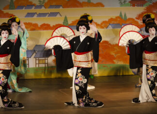 L’année au rythme des hanamachis de Kyoto