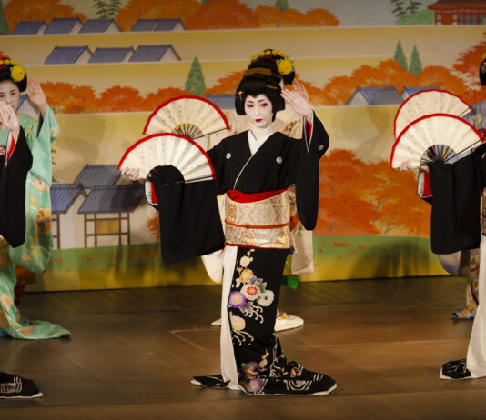 L’année au rythme des hanamachis de Kyoto