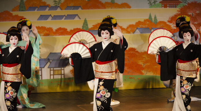 L’année au rythme des hanamachis de Kyoto