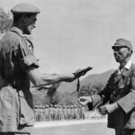 Après-guerre : l’histoire enfouie des katanas confisqués