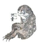 kappa – wikicommons