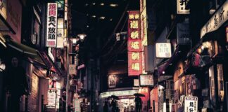 Meurtre, Chirurgie esthétique et Cavale : l’affaire Lindsay Hawker