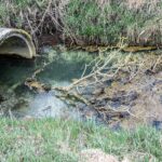 Capture d’écran 2025-11-07 à 22.54.14