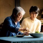 The Zen Diary : la vie japonaise au rythme des saisons