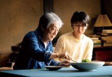 The Zen Diary : la vie japonaise au rythme des saisons