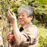 with-credit-tsuchi12_sub4-scaled