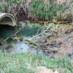 Minamata, un village de pêcheurs contaminé au mercure