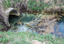 Minamata, un village de pêcheurs contaminé au mercure