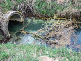 Minamata, un village de pêcheurs contaminé au mercure