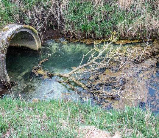 Minamata, un village de pêcheurs contaminé au mercure