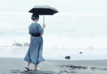 Le Japon : une société de faible désir ?