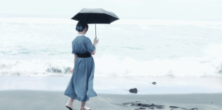 Le Japon : une société de faible désir ?