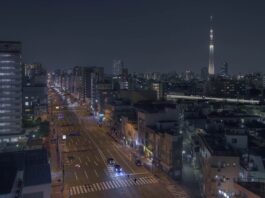 « Je voulais une esclave sexuelle » l’affaire Rurika Tojo