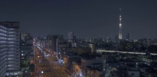 « Je voulais une esclave sexuelle » l’affaire Rurika Tojo