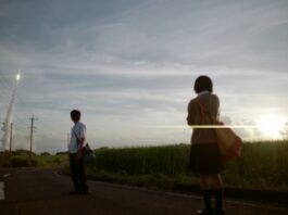 5 centimètres par seconde : film japonais envoutant sur le destin qui s’écrit 5 centimètres par seconde