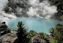 Les villages à onsen : un Japon dans la vapeur