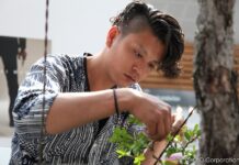 Bonsai Warrior : au nom de l’amour d’un art japonais ancestral Bonsai Warrior