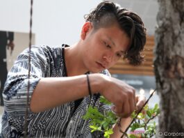 Bonsai Warrior : au nom de l’amour d’un art japonais ancestral Bonsai Warrior