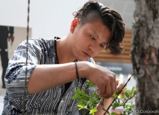 Bonsai Warrior : au nom de l’amour d’un art japonais ancestral Bonsai Warrior