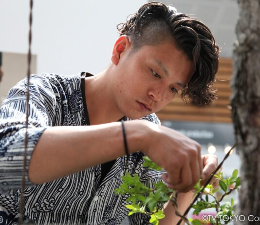 Bonsai Warrior : au nom de l’amour d’un art japonais ancestral Bonsai Warrior