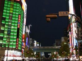 Plongée dans les mystères urbains de Tokyo