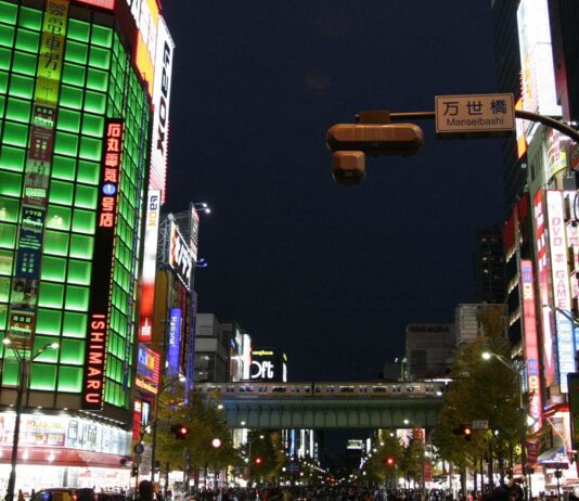 Plongée dans les mystères urbains de Tokyo