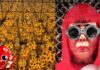 Yayoi Kusama : l’artiste japonaise qui fait tourner la tête !