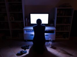 Le phénomène hikikomori : du retrait social au célibat