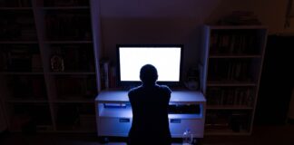 Le phénomène hikikomori : du retrait social au célibat