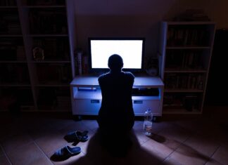 Le phénomène hikikomori : du retrait social au célibat