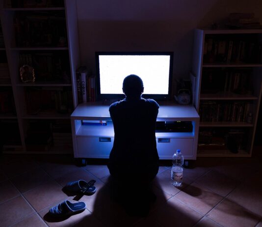 Le phénomène hikikomori : du retrait social au célibat
