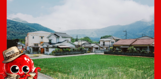 Le Japon rural meurt inexorablement village par village