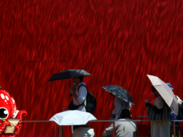 Comment les Japonais survivent-ils aux canicules ?