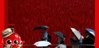 Comment les Japonais survivent-ils aux canicules ?
