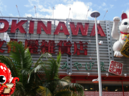 Okinawa : entre deux empires, une identité qui résiste