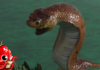 La traque du Tsuchinoko, serpent légendaire japonais
