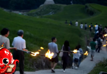 Au Japon, on enfume les rizières pour sauver les récoltes
