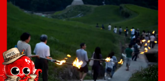 Au Japon, on enfume les rizières pour sauver les récoltes