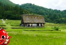 Comment les campagnes japonaises tentent d’attirer des habitants