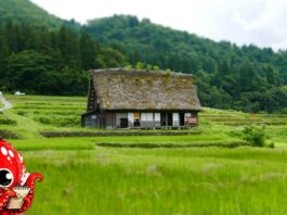 Comment les campagnes japonaises tentent d’attirer des habitants