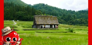 Comment les campagnes japonaises tentent d’attirer des habitants