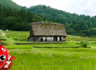 Comment les campagnes japonaises tentent d’attirer des habitants