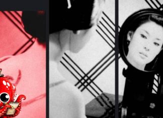 L’image de la femme dans la littérature japonaise d’après-guerre
