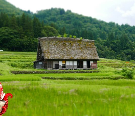 Comment les campagnes japonaises tentent d’attirer des habitants
